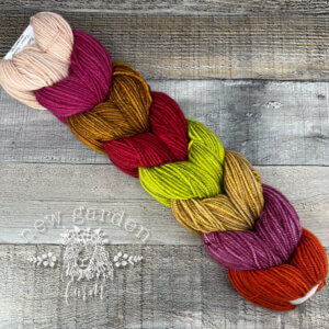 collection of 8 fall colors of hand dyed yarn